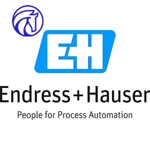 endress+hauser