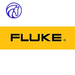 fluke