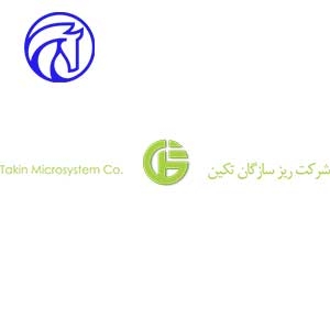 ریز-سازگان-تکین